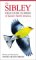 Books : The Sibley Field Guide to Birds of Eastern North America