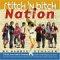 Books : Stitch 'n Bitch Nation