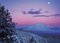 Books : Winter Moon and Ponderosa Pines, Sierra Club Boxed Holiday Cards