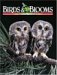 Magazines : Birds & Blooms